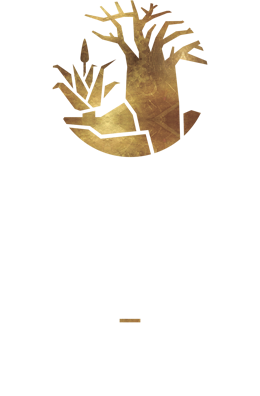 Bolivia Lodge - Accommodation | Function Venues | Weddings | Polokwane logo